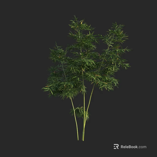 Lush Green Bamboo Plant With Tall Stems And Fresh Leaves In Dark Background 3d model 