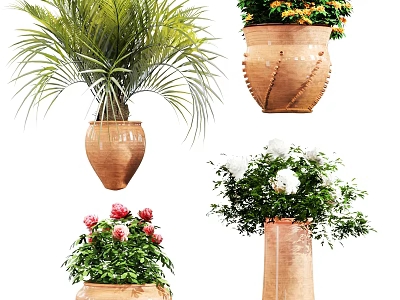 Potted Bonsai Plants with Various Foliage and Colorful Flowers in Decorative Terracotta Pots 3d model