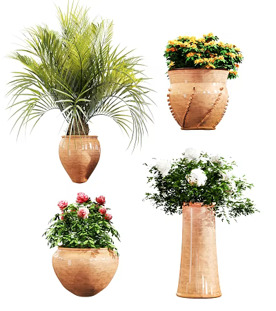 Potted Bonsai Plants with Various Foliage and Colorful Flowers in Decorative Terracotta Pots 3d model