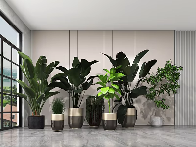 Indoor Decorative Plants With Various Pots In Modern Interior Space And Large Window 3d model