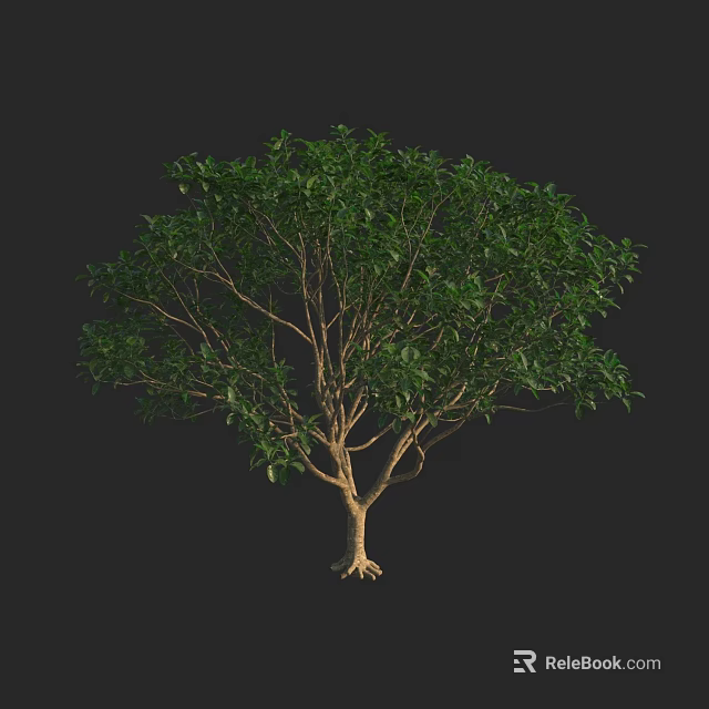 Lush Green Arbor With Strong Trunk And Healthy Root System 3d model 