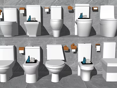 Various Toilet Designs In Different Styles With Toilet Paper Holders And Grey Tiled Wall 3d model