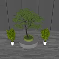 Lush Arbor Tree With Circular Base And Two Small Potted Plants On Wooden Floor