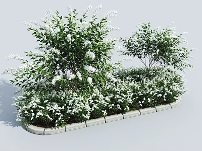 Lush Green Shrubs With White Flowers In Decorative Garden Border 3d model