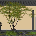Courtyard Landscape Trees Maple Deciduous Maple Trees Micro-terrain Horse-tied Pile 3d model