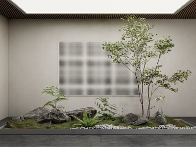 Modern landscape sketch landscape landscaping fern plant stone pebble moss model