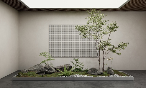 Modern landscape sketch landscape landscaping fern plant stone pebble moss 3d model