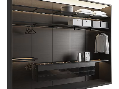 Modern Black Wardrobe Interior Design With Hanging White Clothes Storage Compartments And Drawers 3d model