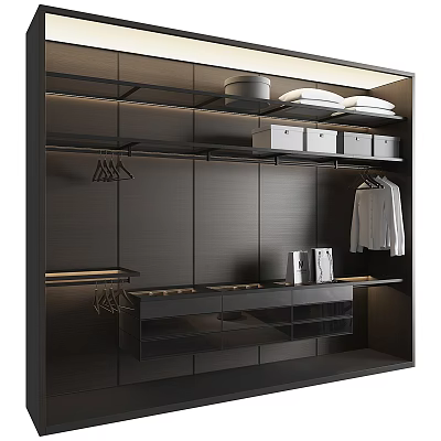 Modern Black Wardrobe Interior Design With Hanging White Clothes Storage Compartments And Drawers 3d model