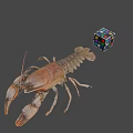 Whole Fresh Lobster Displayed with Colorful Rubik's Cube on Gray Background