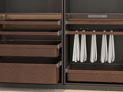 Dark Wood Wardrobe Interior with Multiple Drawers and White Hanging Clothes 3d model