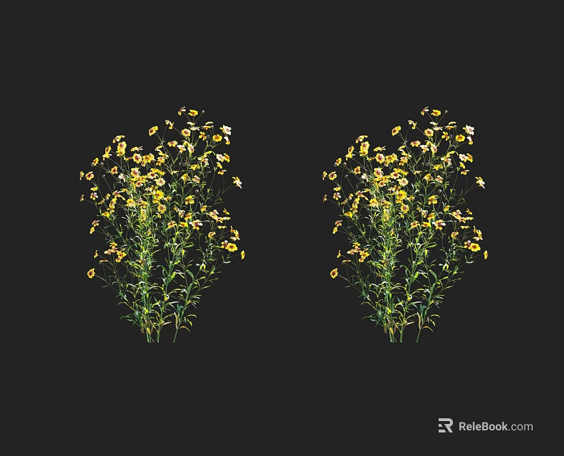 Two Bunches Of Yellow Flowers With Green Stems And Petals On Black 3d model 