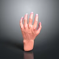 3D Model of Human Hand Organ With Natural Hair Texture Details