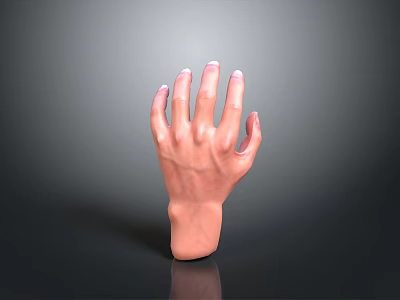 3D Model of Human Hand Organ With Natural Hair Texture Details 3d model
