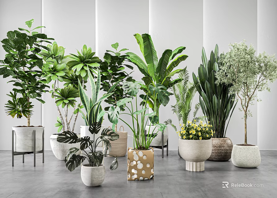 Various Indoor Potted Green Plants With Different Style Planters In Modern Setting 3d model 