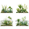 Diverse Plant Combinations with Mixed Herbs Shrubs and Decorative Stone Elements for Garden Landscaping