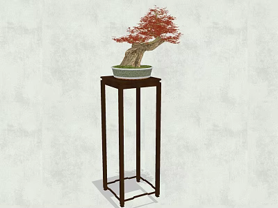 Red Leaf Bonsai Plant in Ceramic Pot on Wooden Stand for Indoor Decor 3d model