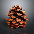Detailed Glossy Red Brown and Orange Pine Cone With Scales On Dark Background