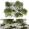 Geometric Tree Pit Design With Zigzag Paved Surface Green Trees And Shrubs