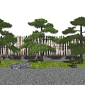 Pine Trees In Traditional Garden With Bamboo Fence Grass Stones And Stone Lantern