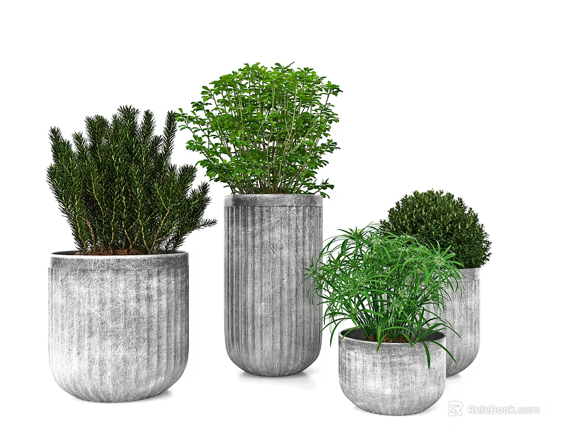 Multiple Bonsai Potted Plants In Gray Cylindrical Pots With Different Sizes And Green Foliage 3d model 