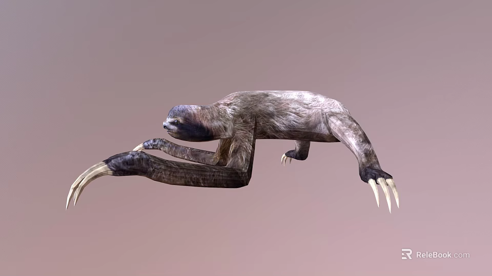 Realistic 3D Sloth Character Model For Game And Movie Animations 3d model 