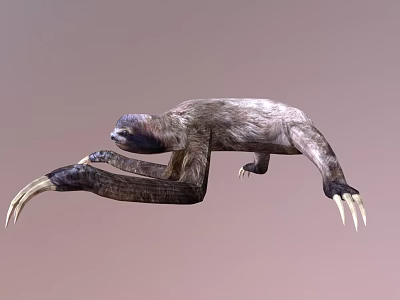 Realistic 3D Sloth Character Model For Game And Movie Animations 3d model