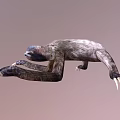 Realistic 3D Sloth Character Model For Game And Movie Animations