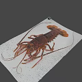 Fresh Lobster On White Paper With Intricate Body Structure And Claws