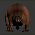 Orange Beaver like Rodent 3D Modeled Realistic Game Movie Character Design 3d model
