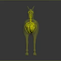 Transparent Horse Anatomical Model Showing Internal Organs And External Hair Structure