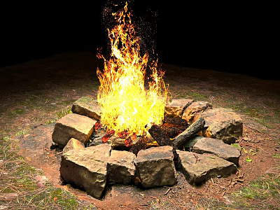 Bonfire Stone Barbecue Fire Fire Wood Wood Fire Carbon Charcoal Carbon Baking Fire Wood Charcoal Open Fire 3d model