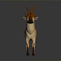 Orange Deer with Brown Antlers Black Nose White Belly in 3D Rendering on Gray Background