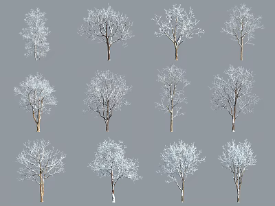 Snow Covered Arbor Trees With Bare Branches Against Gray Background 3d model