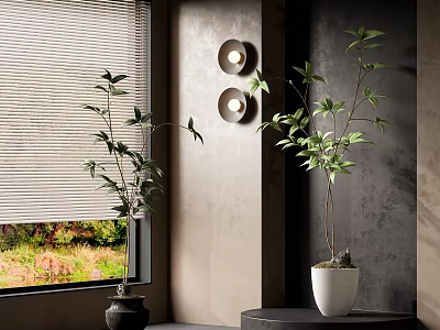 Bonsai Potted Plants Decor in Room with Window Blinds Dark Table and Round Wall Lamps 3d model
