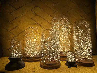 Decorative Lights in Glass Domes with Wooden Bases Against Yellow Brick Wall Featuring Twinkling Glow 3d model