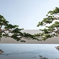 Lush Pine Trees With Curved Branches Against Blue Sky And Reflections On Water Surface