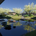 Serene Courtyard Garden With Stone Path Pond Koi Fish And Lush Trees