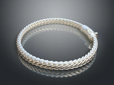 Silver Braided Bracelet With Metallic Texture Smooth Surface And Stylish Clasp Design 3d model