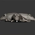 Three Soft Gray Plush Mice Stuffed Toys Posing On Dark Reflective Surface