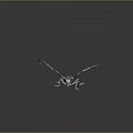 Detailed Dark Beetle With Long Antennae And White Spots On Reflective Background