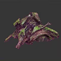 Lush Green Moss Plants Growing On Weathered Driftwood Natural Decorative Piece