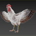 Brown Feathered Rooster with Red Comb Standing and Spreading Wings as Flying Animal