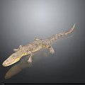 Crocodile 3D Model Lying on Black Surface With Reflection and Gradient Gray Background 3d model