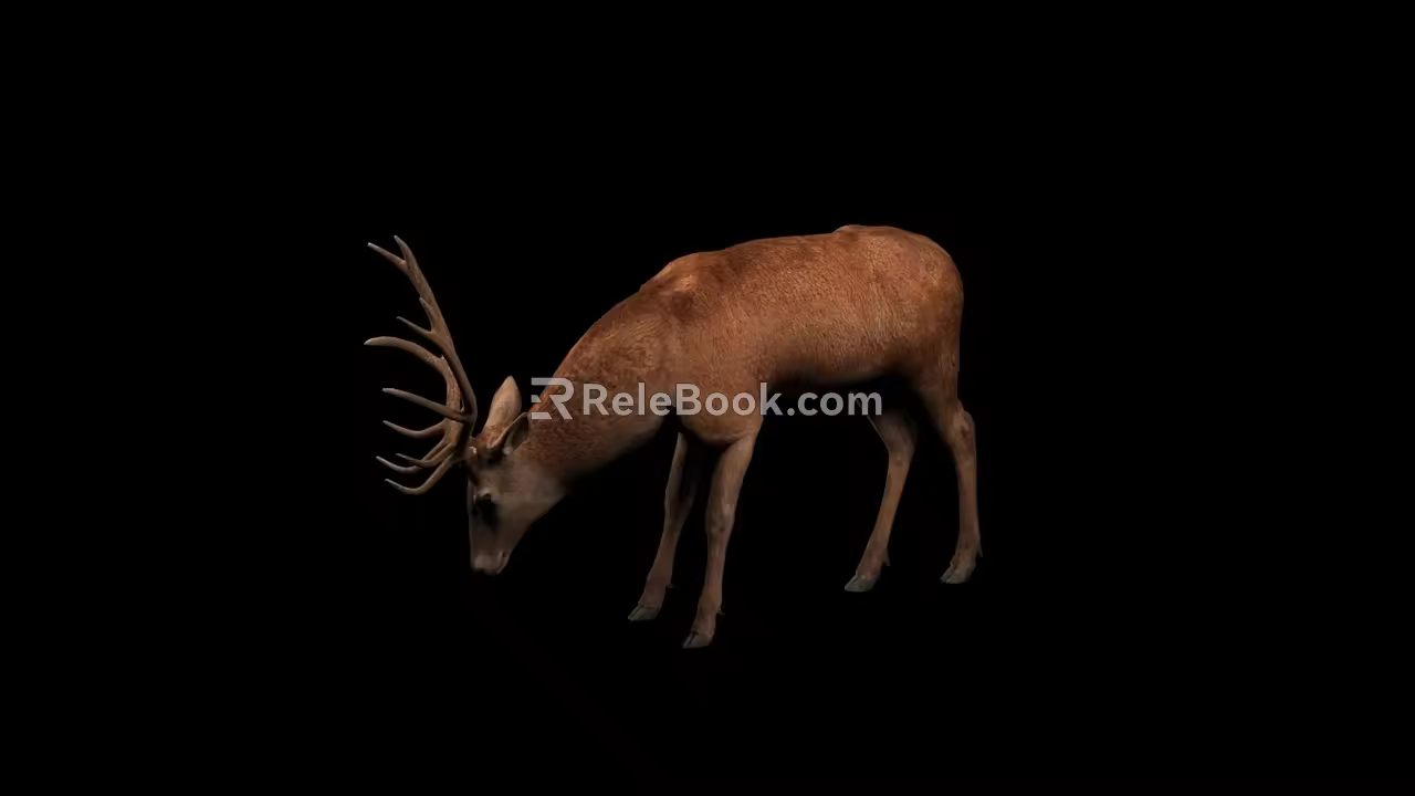 Deer Belt Action 3d model