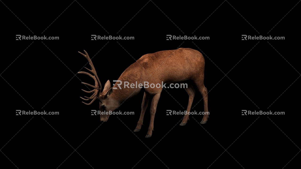 Deer Belt Action 3d model