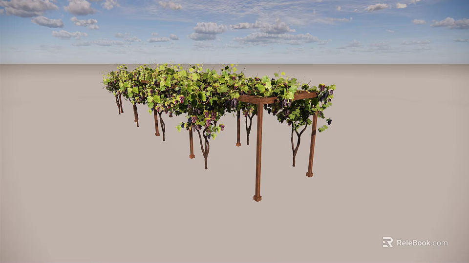 Outdoor Wooden Grape Vine Arbor With Green Leaves And Support Structure 3d model 