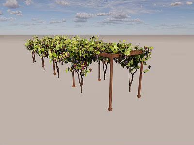 Outdoor Wooden Grape Vine Arbor With Green Leaves And Support Structure 3d model