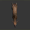 Realistic 3D Fawn Model Standing With Brown And White Spots On Black Background With Reflection