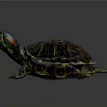 Colorful Turtle Sculpture With Vibrant Striped Shell Red Accent Head And Detailed Limb Design